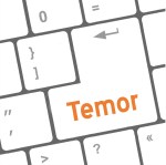 Botón Temor Teclado